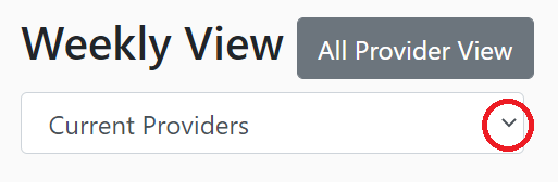 Current provider dropdown